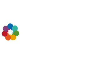 Kallidus logo - light