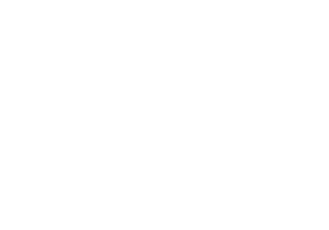 Vend logo - light